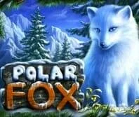 Polar Fox