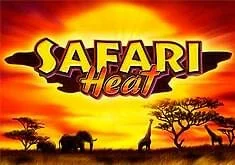 Safari Heat