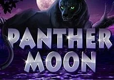 Panther Moon